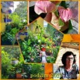 /album/podzim-a-konec-roku-2023/1697366405582-jpg/