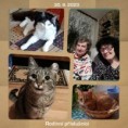 /album/podzim-a-konec-roku-2023/1697366190681-jpg/