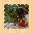 /album/podzim-a-konec-roku-2023/1697369440277-jpg/